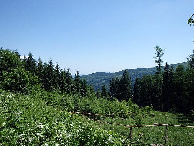 Widok na Beskid Śląsko-Morawski I