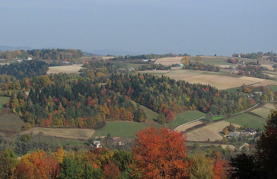 Barwy jesieni koło podjazdu