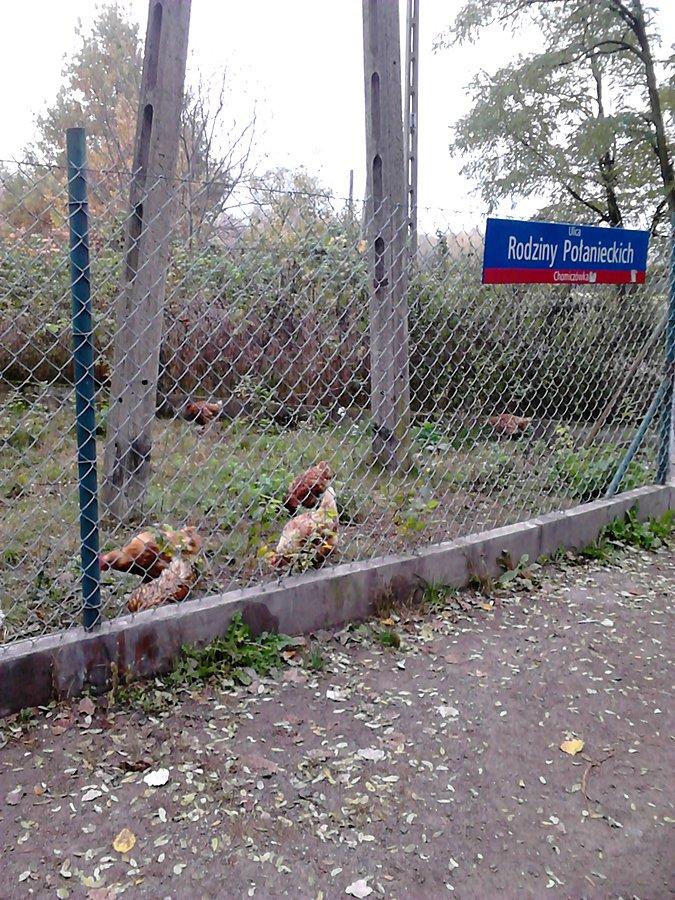 Na dowód tabliczka z nazwą ulicy