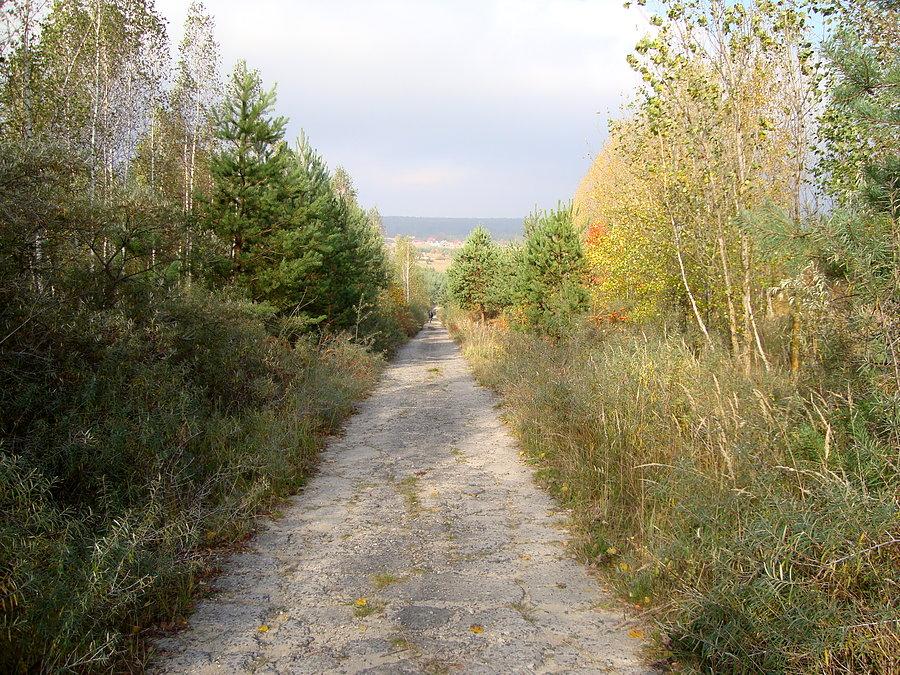 Niezły zjazd