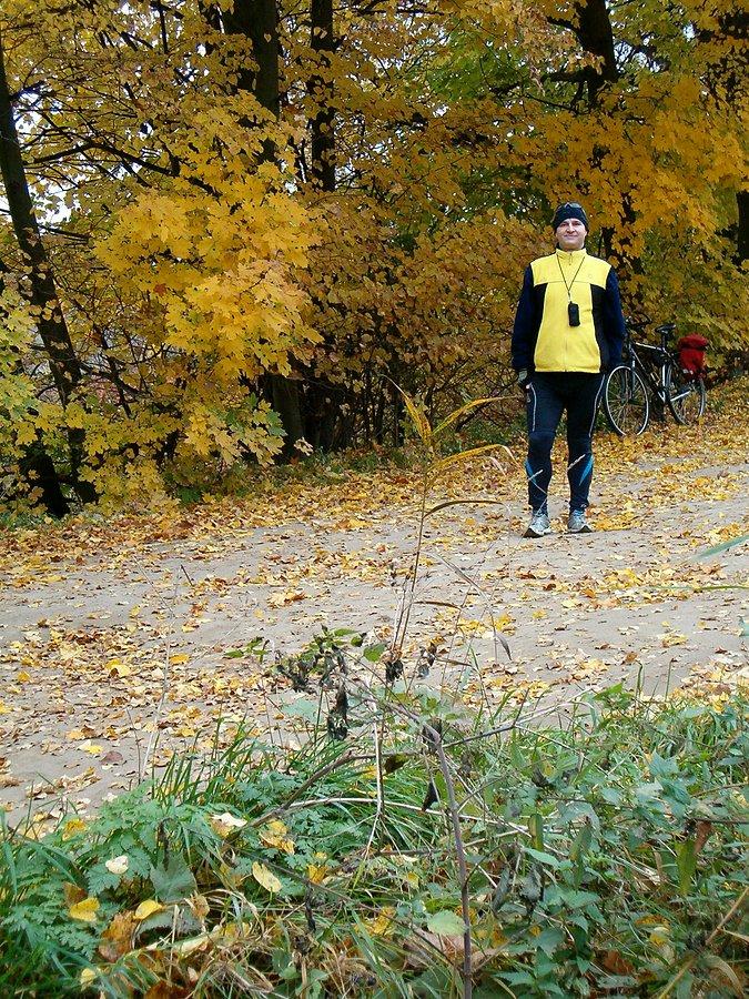 12-10-2013. Sobotnia rowerówka po kociewskich drogach i lasach. Piekny krajobraz drzew w porze jesiennej. Na drodze do Wielkiego Jeziora w Rokitkach