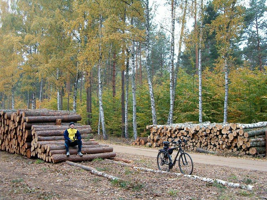 12-10-2013. Sobotnia rowerówka. Ja i mój rowerek odpoczywamy przy składowisku drewna, droga leśna z osady Owczarki do Lubiszewa