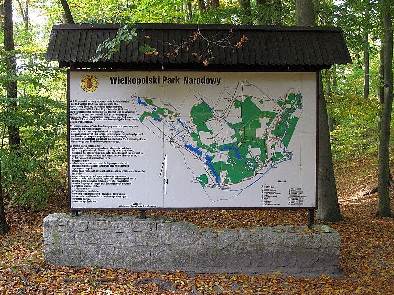 Wielkopolski Park Narodowy wita