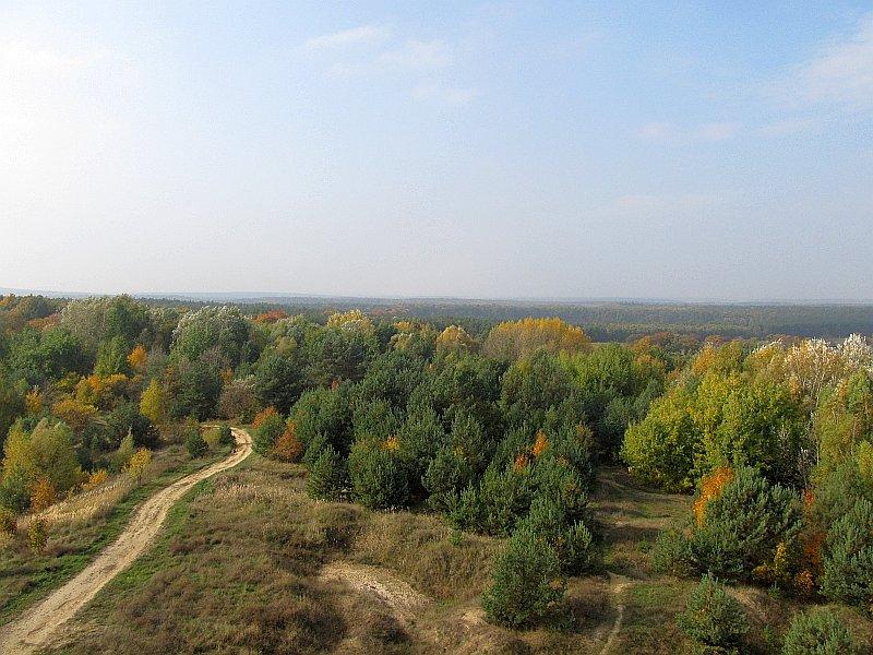 Widok z wieży widokowej w Mosinie