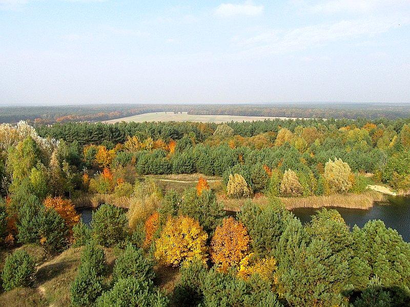 Widok z wieży w Mosinie - barwy jesieni