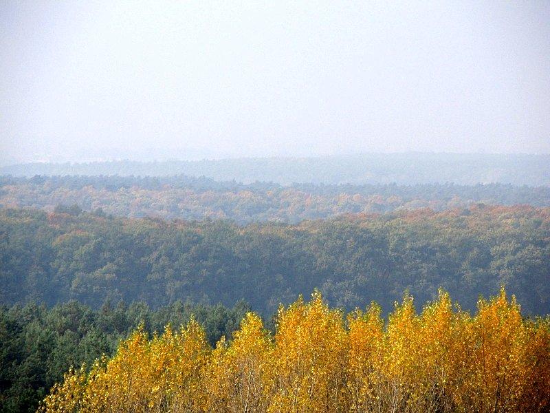 Widok z wieży w Mosinie