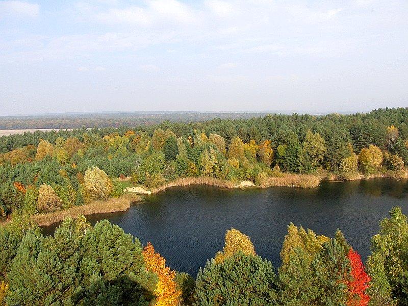 Widok z wieży w Mosinie - kierunek na Poznań