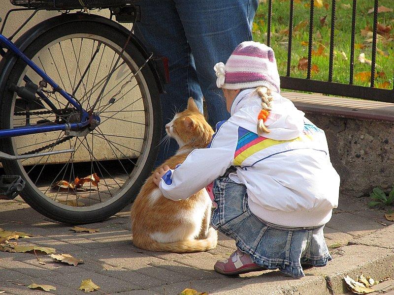 A to ci spokojny kocurek :-)
