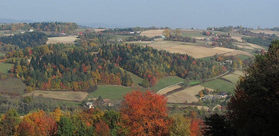Kolorowy widok