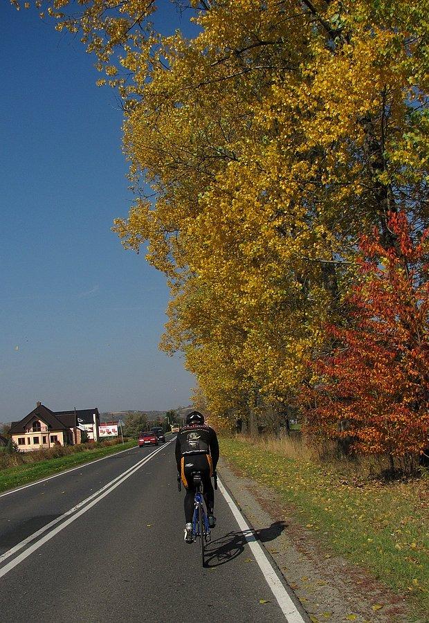 Widać, że jesień
