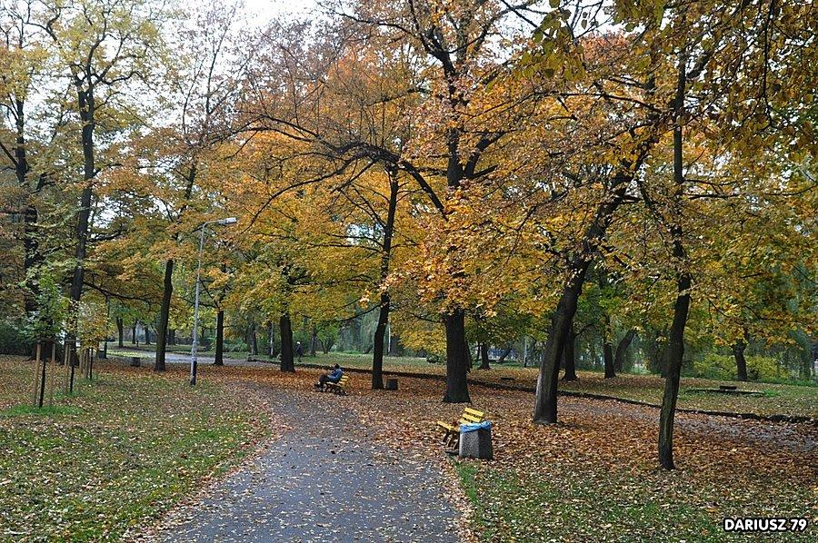 Sosnowiec - Park Sielecki