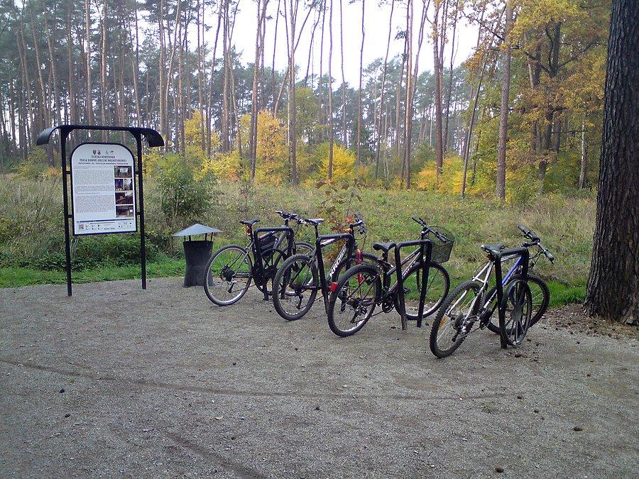 Parking rowerów