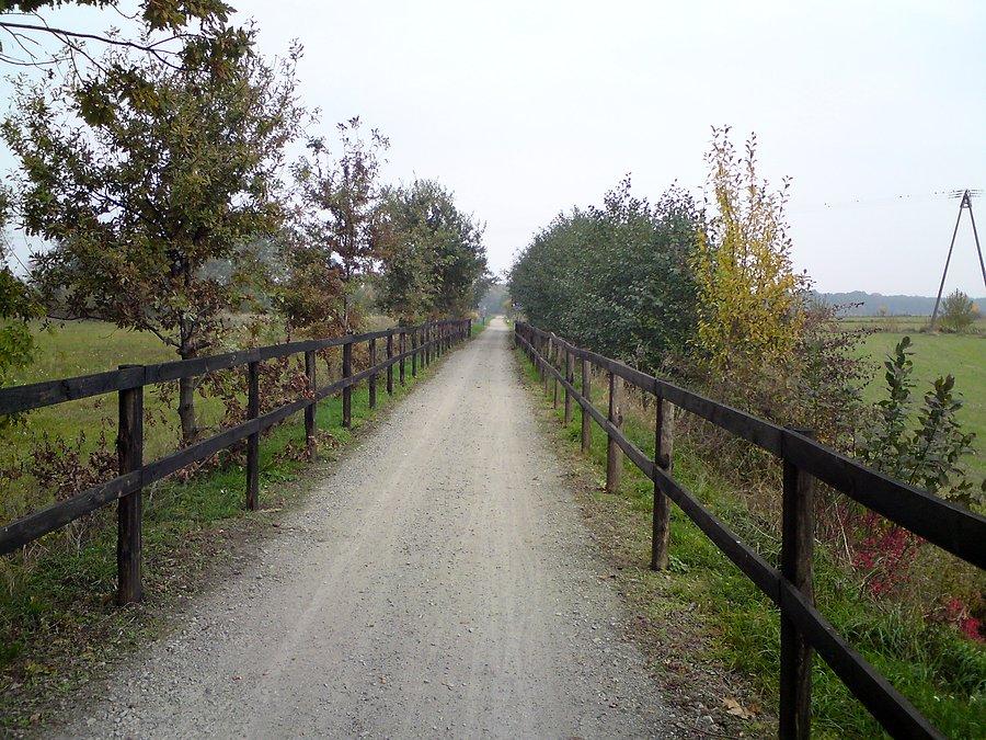 Ścieżka za Miliczem