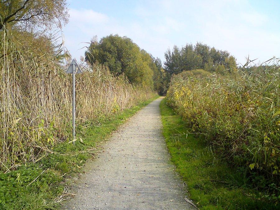 Końcówka ścieżki