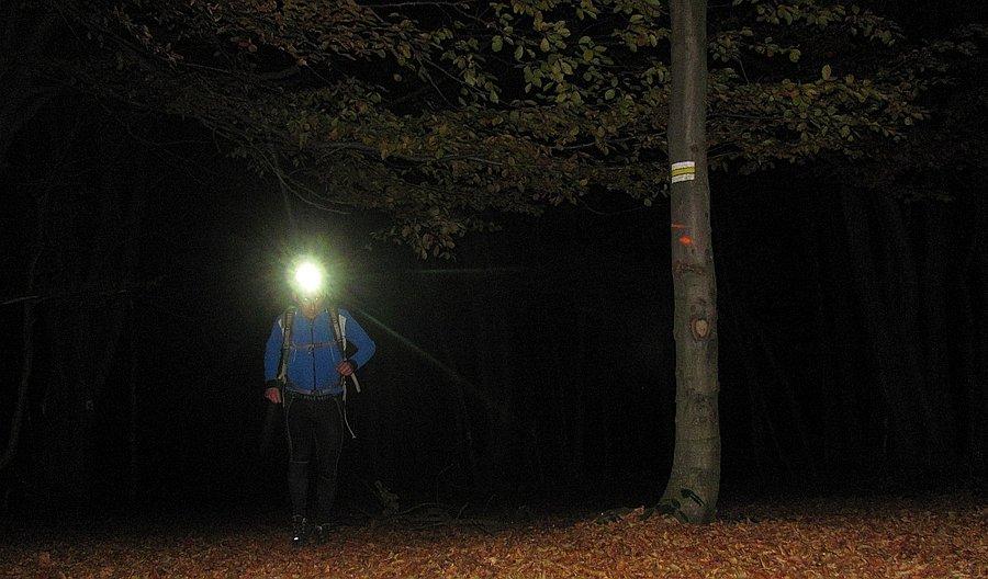 Bieganie nocą z żarówą na głowie