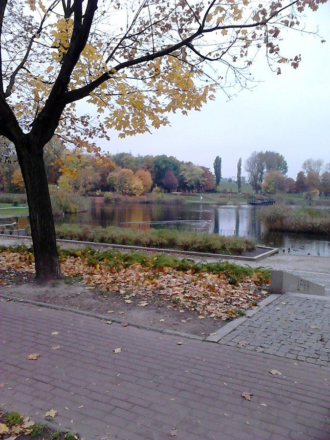 Jesienne Szczęśliwice