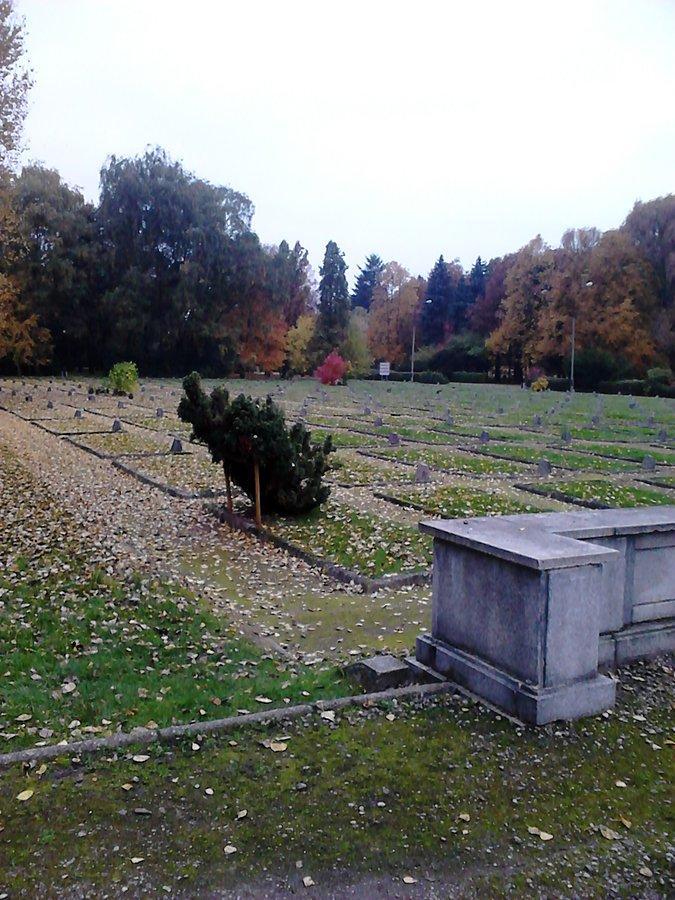 Mogiły