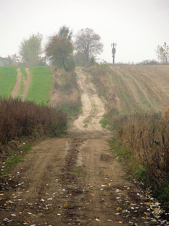 Na polnych traktach typowo jesienna aura