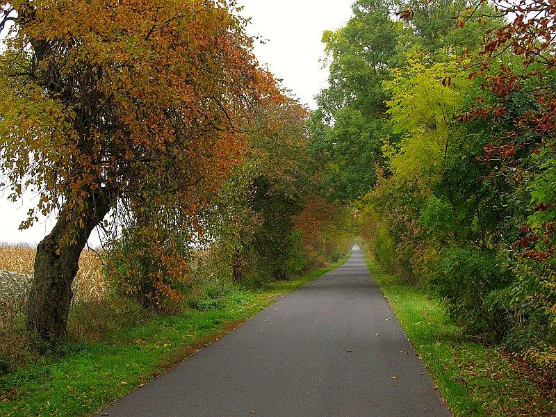 Jesienne barwy na drodze z Wonczyna do Krześlic