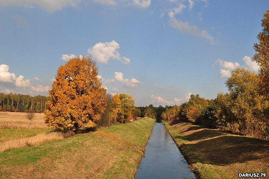 Ratanice - Czarna Przemsza