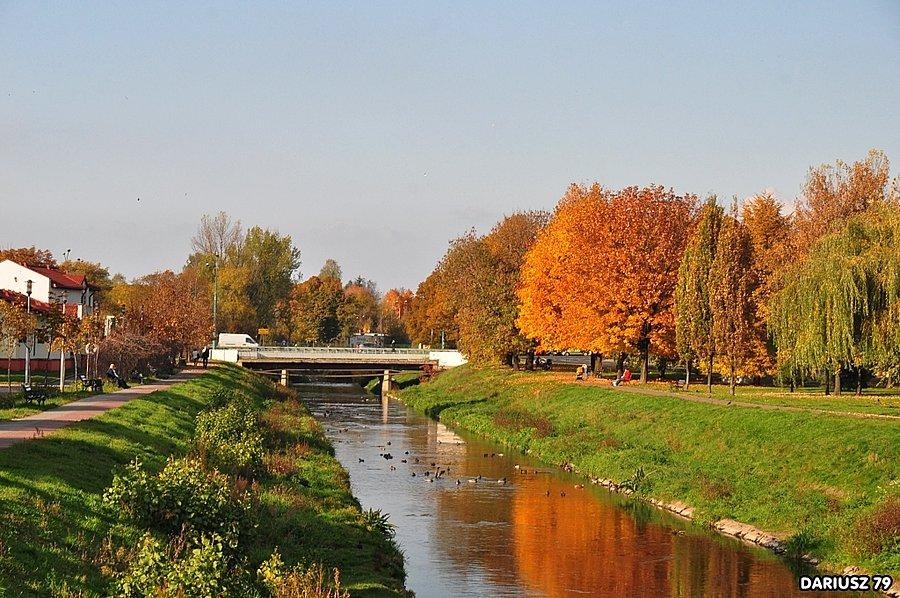 Będzin - Czarna przemsza