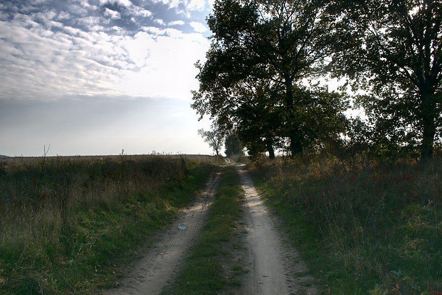 Droga do miejscowości Darż