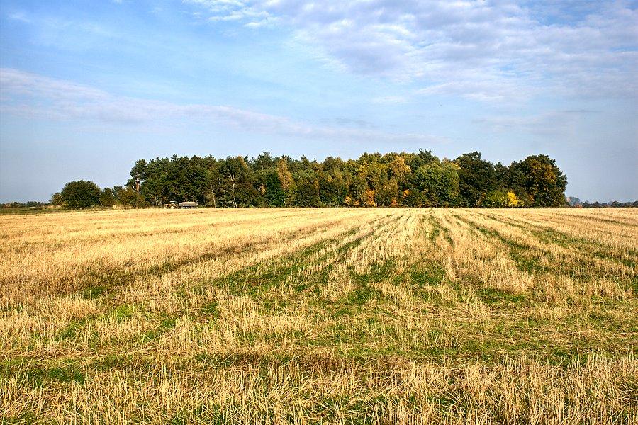 Przydrożne widoki