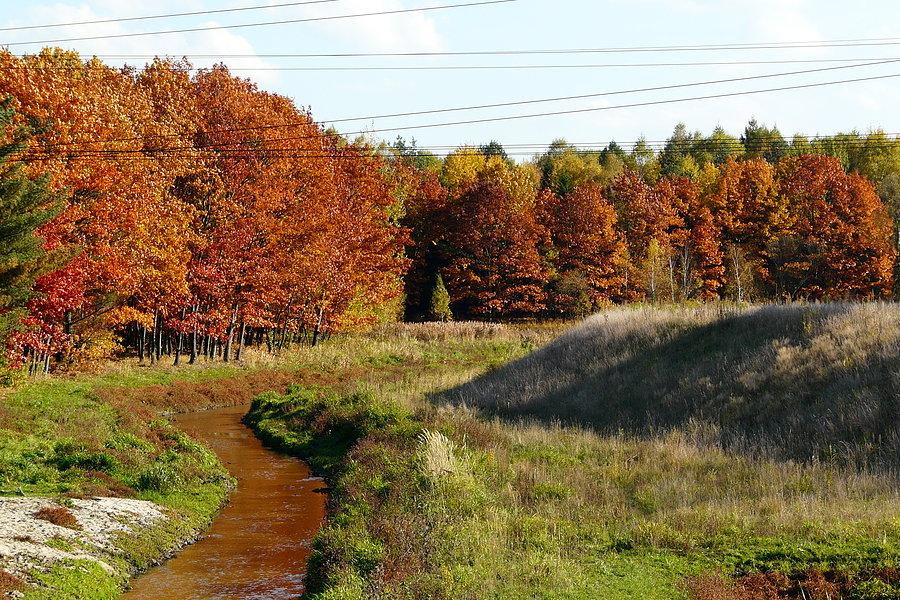 Stara Kuźnica