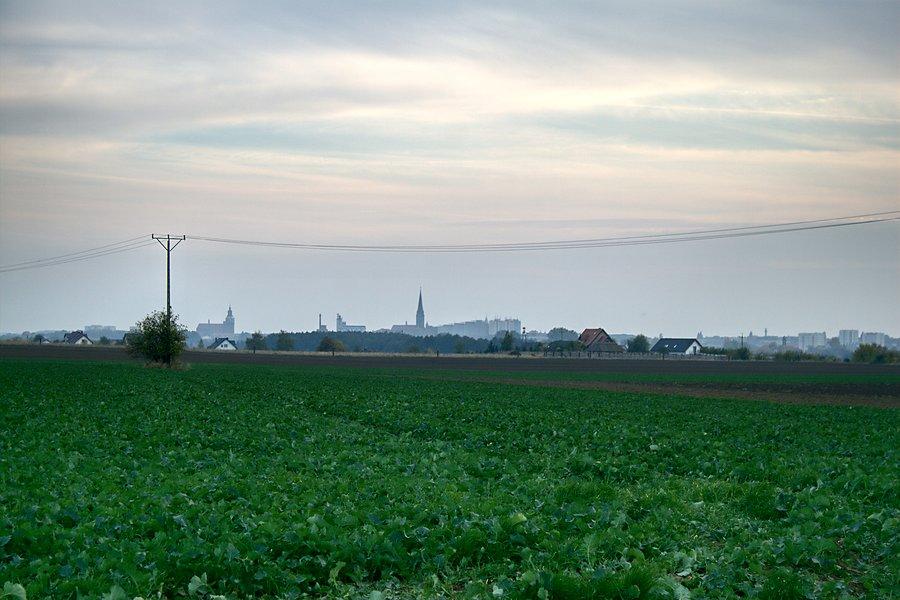 Widok na stargardzkie wieże