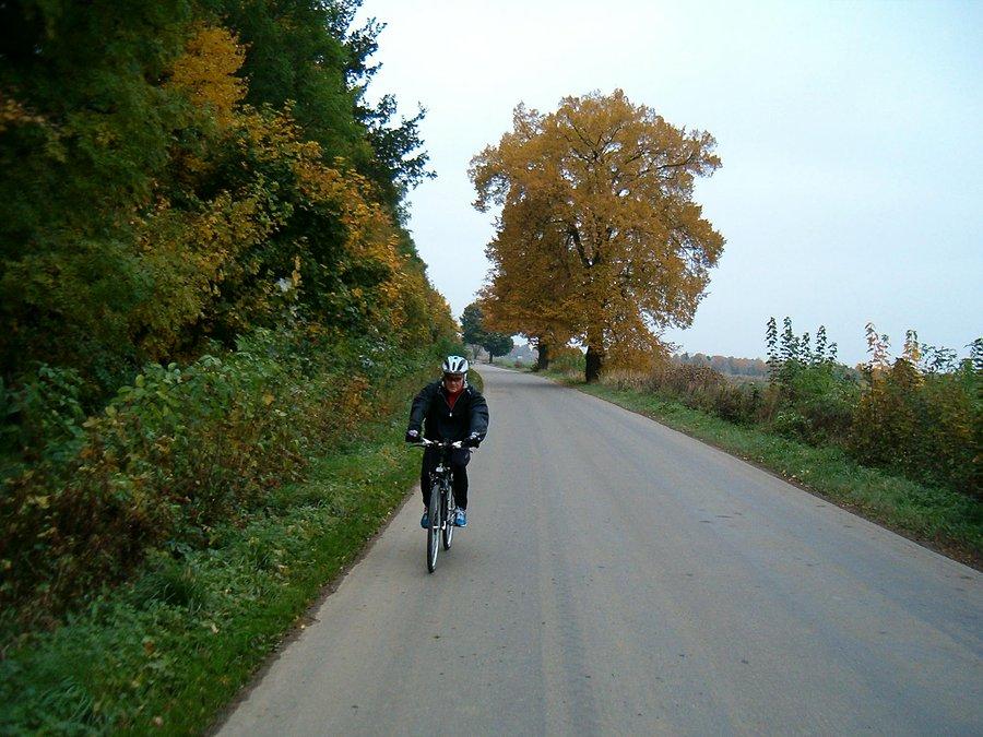 13-10-2013. Niedzielna rowerówka. Marek na trasie, gdzieś koło Steblewa. Jesień na drzewach pięknie się prezentuje