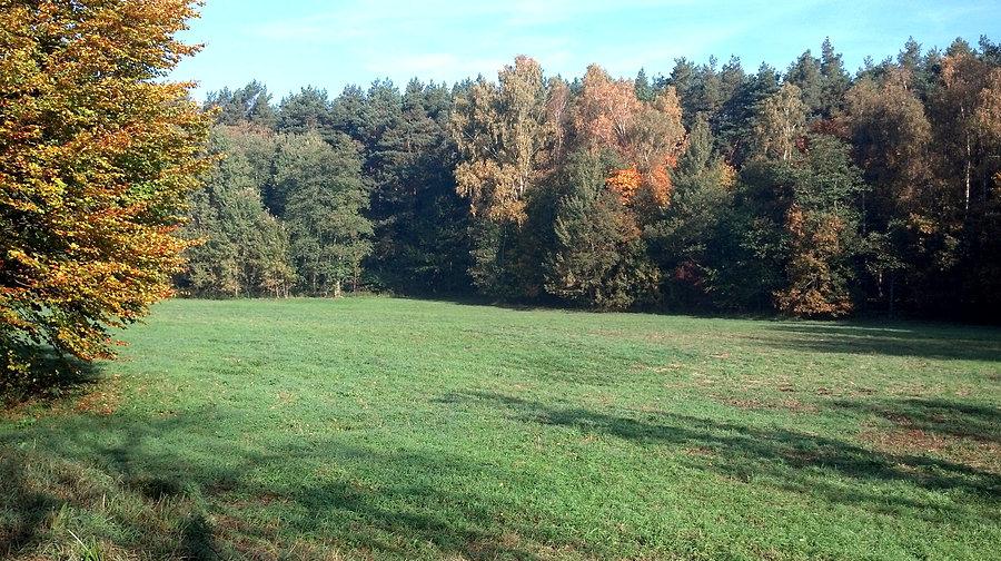 14 października 13 r. polana tuż za leśniczówką