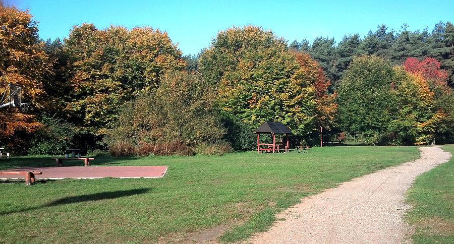Polana sportowa tuż przy Głębokim