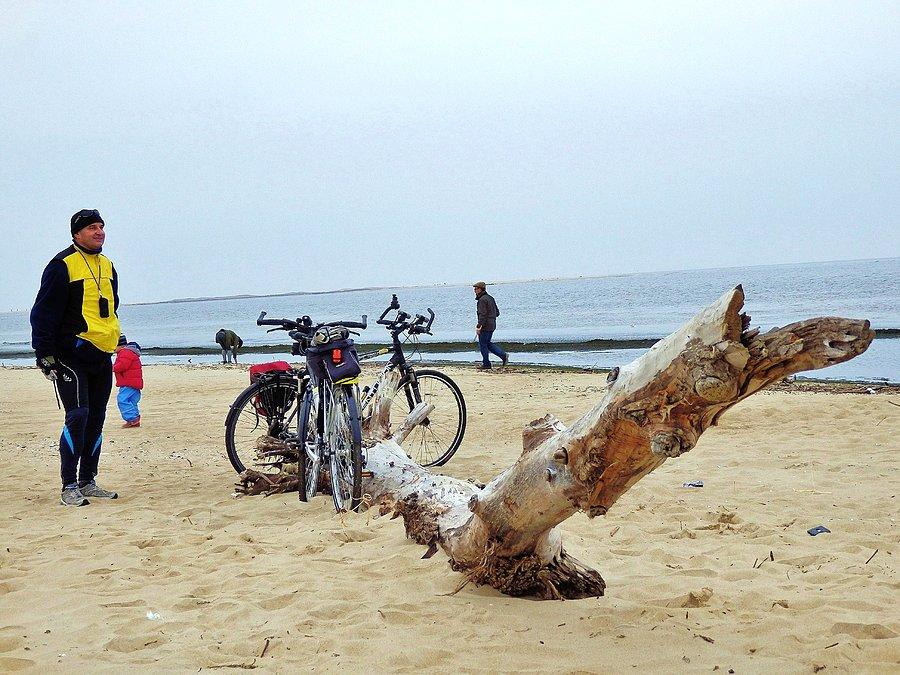Plaża w Mikoszewie