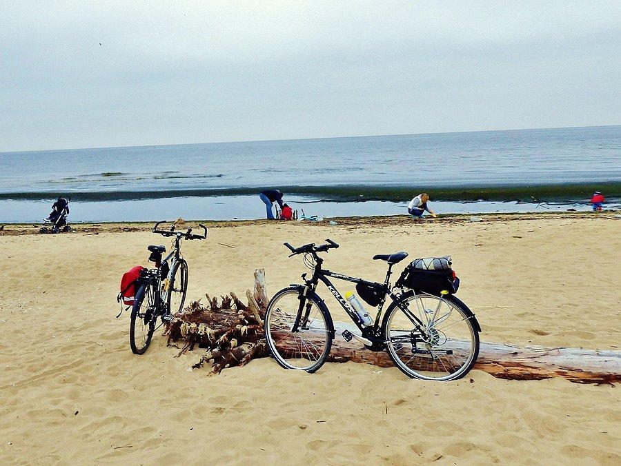 Plaża w Mikoszewie