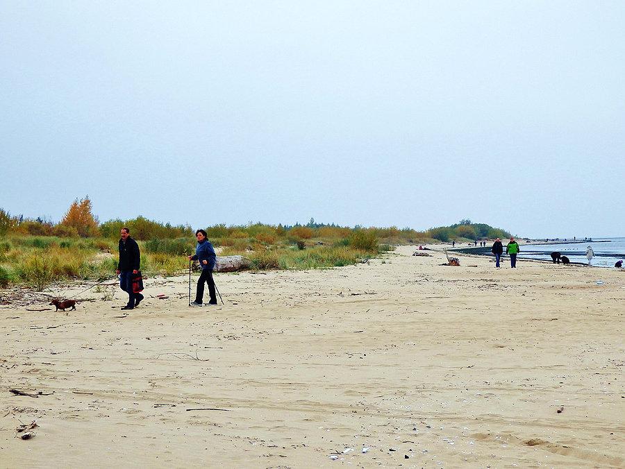 Plaża w Mikoszewie