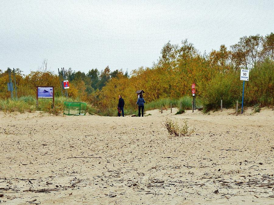 Plaża w Mikoszewie
