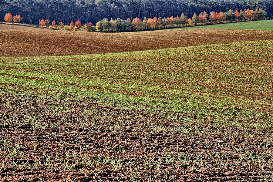 Sielskie krajobrazy pomiędzy Grenzdorf a Schmagerow