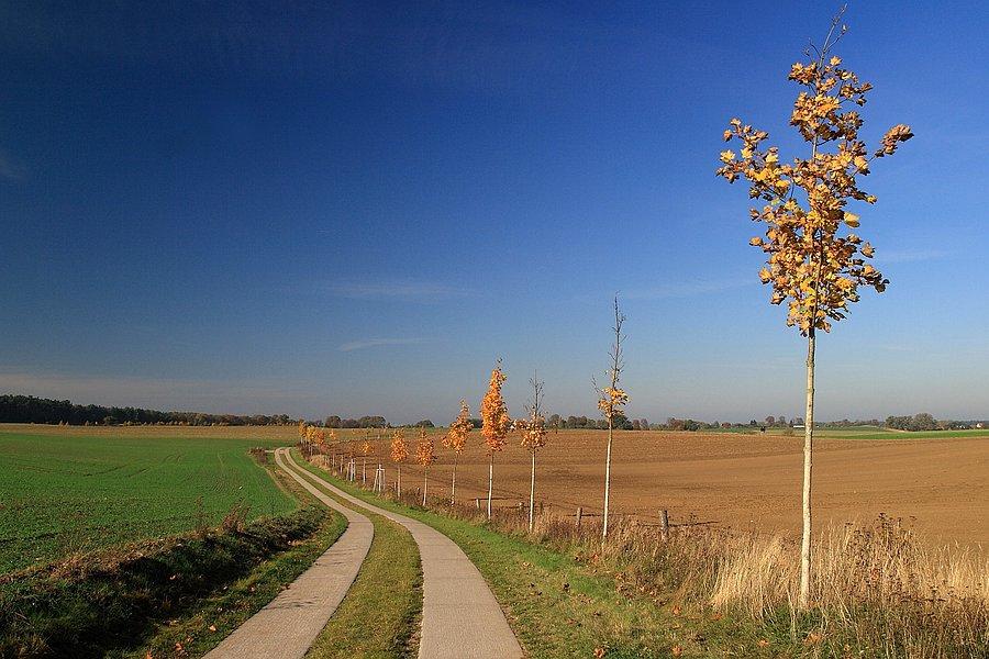 Droga z Grenzdorf do Schmagerow