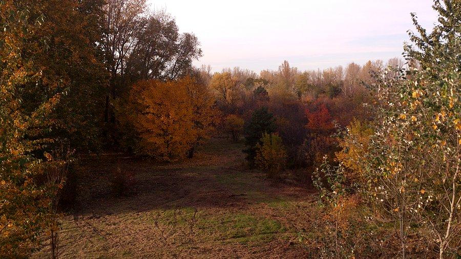 Malowane jesiennym pędzlem