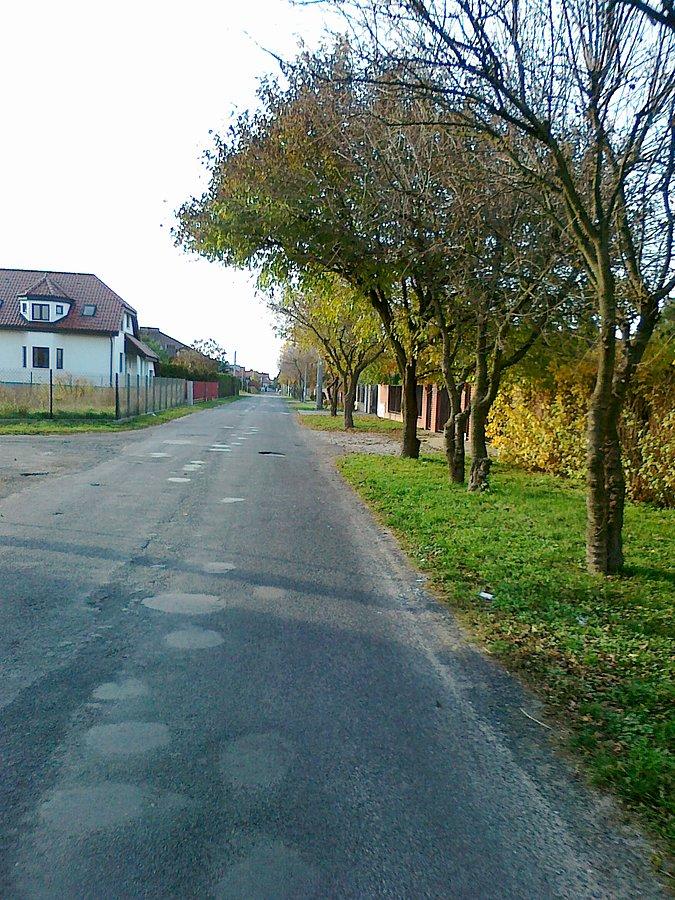 Ulica Tulipanowa jesienią bez tulipanów, ciekawe jak wiosną