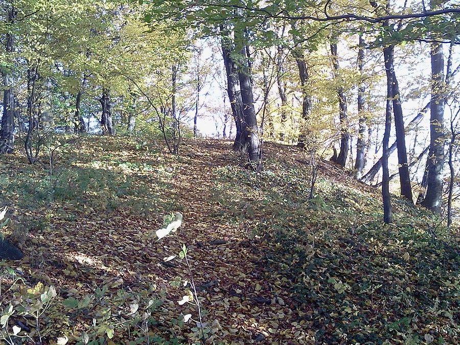 Detrichovice 1