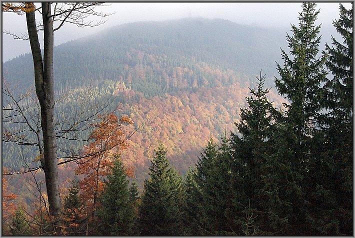 Schodząc ze Śnieżnika