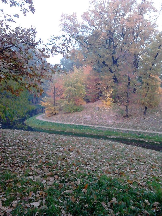 Jesienny park