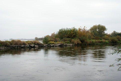 Pilica i Wisła
