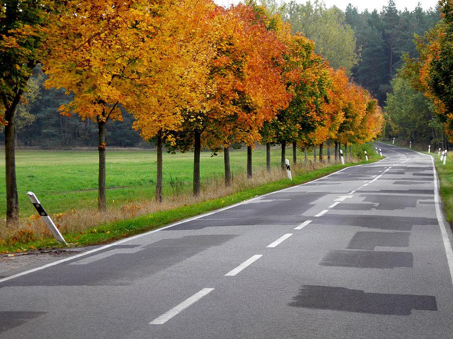 Na drodze Schmagerow - Grambow jeszcze widać jesienne kolory