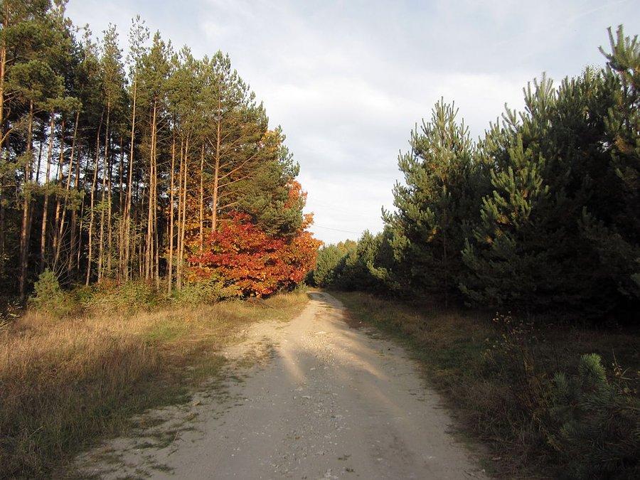 Barwy jesieni
