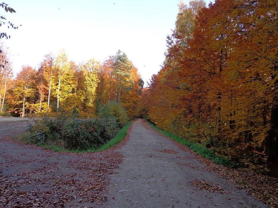 Piękno jesieni
