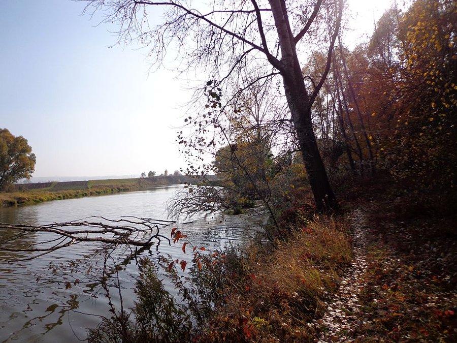 Singel wzdłuż Wisłoka