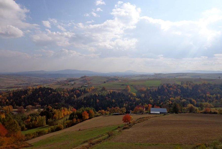 Widok z platformy widokowej