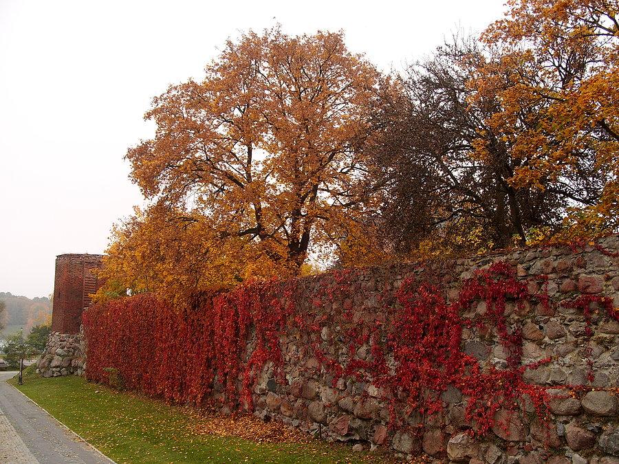 Uroki jesieni- Sztum